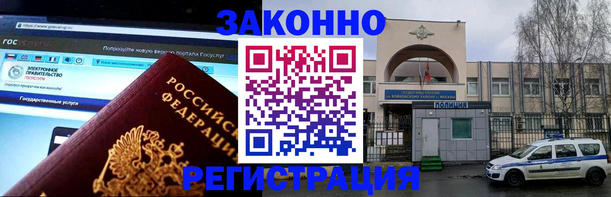 временная регистрация поиск в Камчатской области